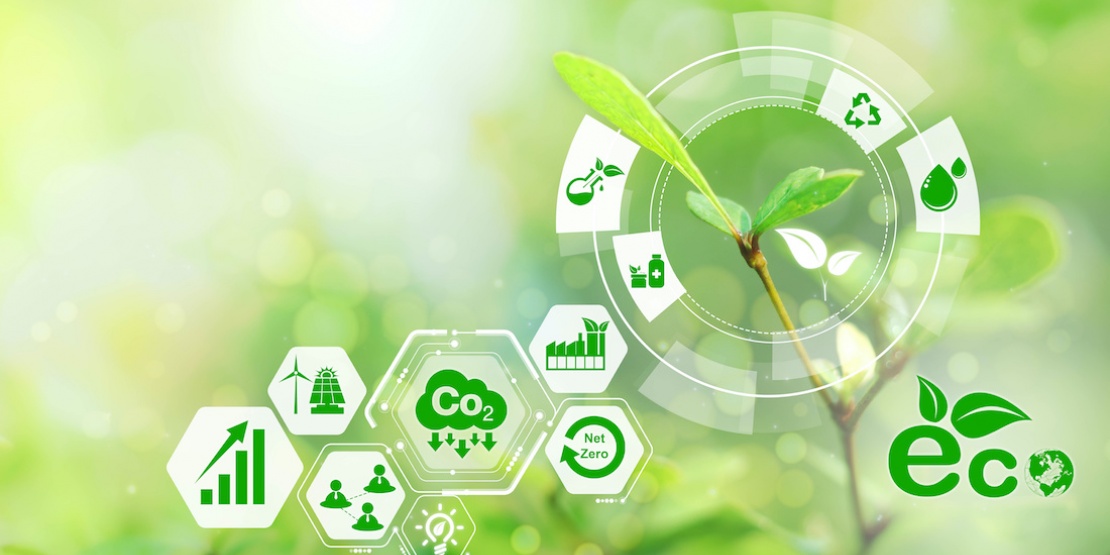 Ecological Data Collection